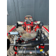 Karting KZ Birelart